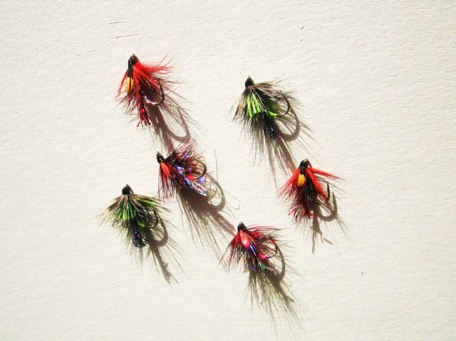 Jason O'Riordan - Small bumble flies