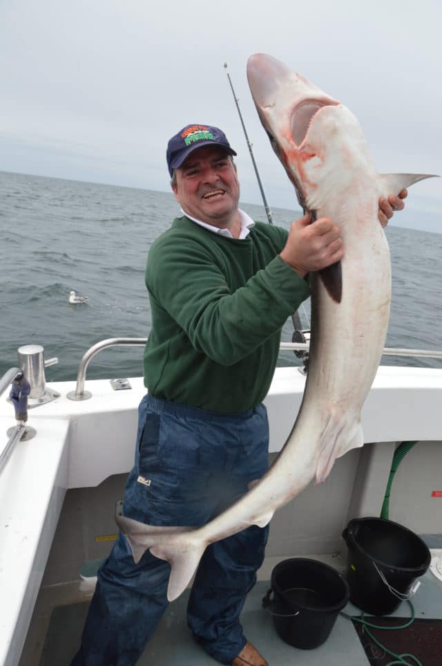 Hugo Mc Laughlin with his Specimen Tope on the Rathmullan Charters last season