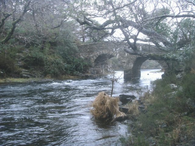 bridge