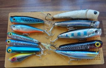 What do fish see…Choosing you lure colour for day and night