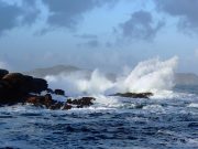Irish Angling Update – 21/02/2014