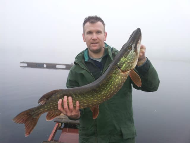 Will Stafford - Friend Peter landed this 13lb pike with a deadbait on River Erin