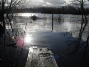 The Laune 'a mile wide' and more rain to come flood