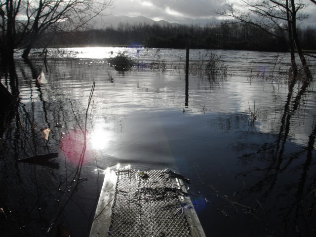 A flood on the Laune flood