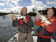 ESB Sea Bass Tracking Project reports good survival of tagged fish