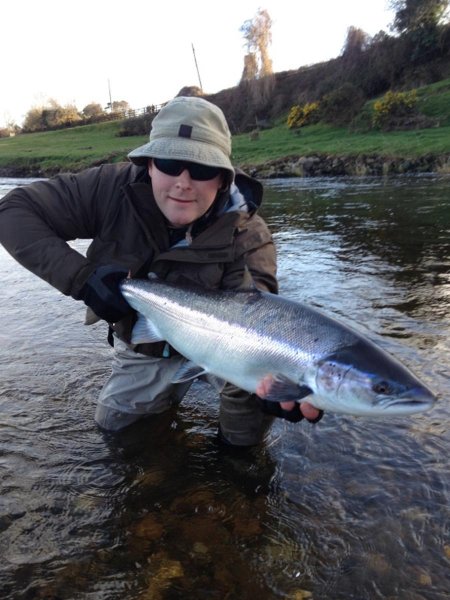 big spring salmon from the Slaney