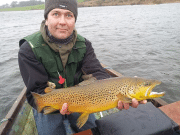 A great start on Carrigavantry and Knockaderry with supersized browns