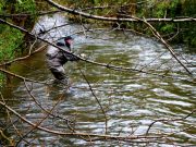 Irish Trout Angling in Irelands North East Highlighted With US Fly Anglers