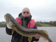 French anglers in Longford manage some good pike fishing despite weather and water levels