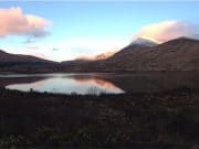 Spring is in the air at Delphi