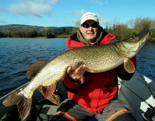 Pike from Lough Derg