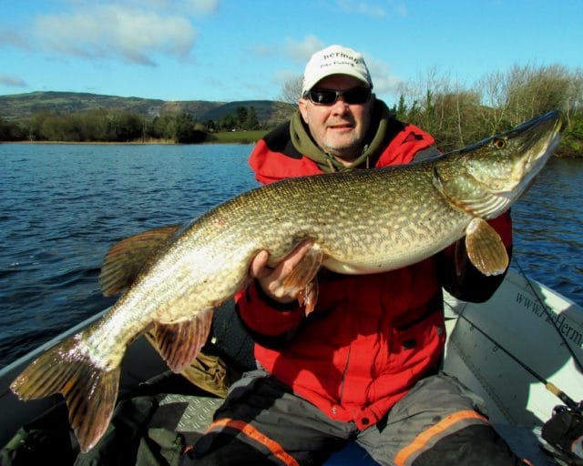 Pike from Lough Derg