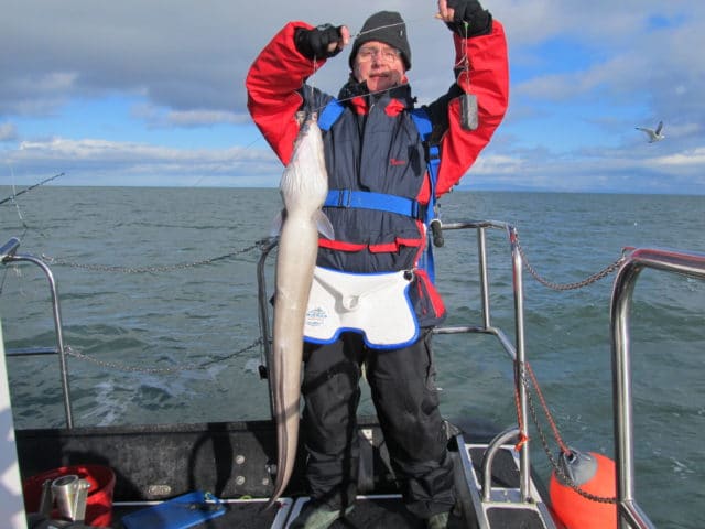 Conger