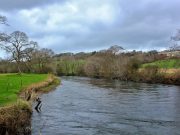 High waters make the Bandon difficult