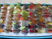 Irish Angling Update – 13/03/14