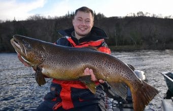 ferox trout