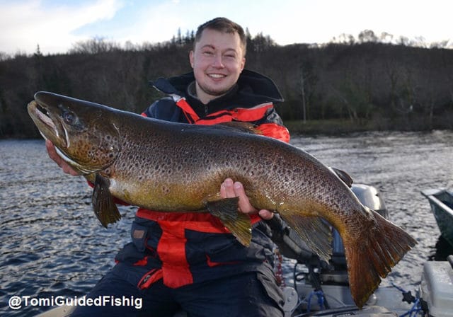 ferox trout