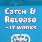 Sheelin – Catch and Release LSTPA