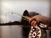 Irish Angling Update – 10/04/14