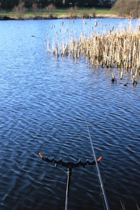 Feeder Fishing on Smiths Lake in Castleblayney