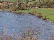 Optimism at Blackwater Lodge as the river shows signs of dropping