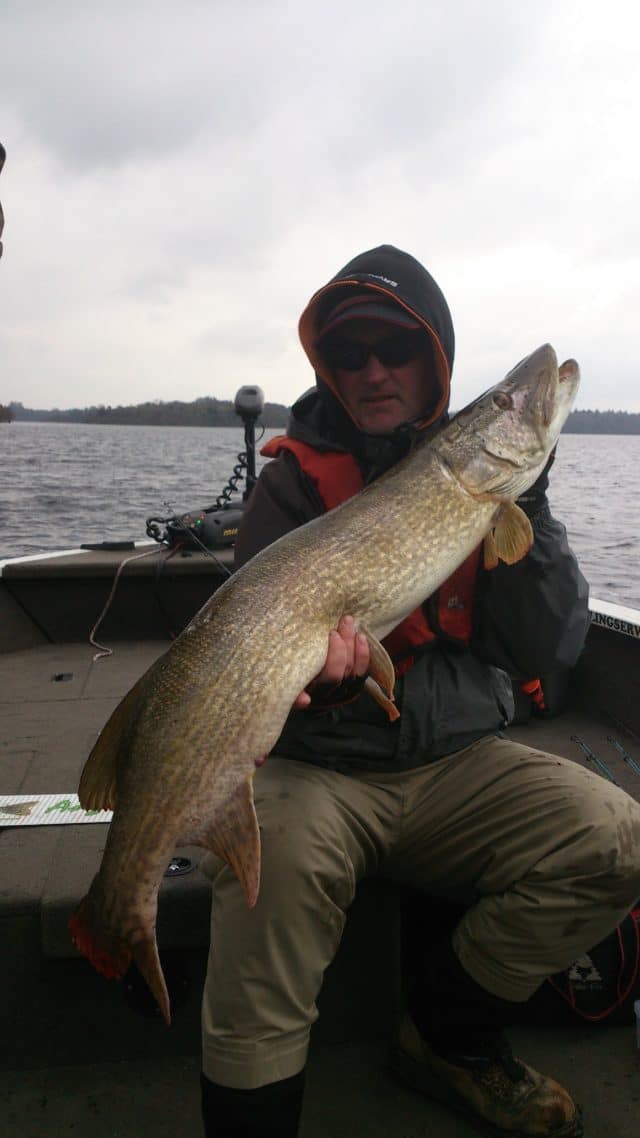 pike