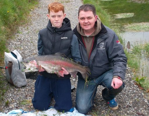 rainbow trout