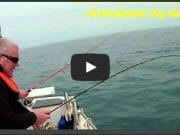 Catching pollack caught on video by the Bellavista team