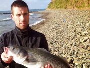 A cracking round of Bass in Cork harbour for 'Catch of the Week' winner Gavin O'Connor with 79cm
