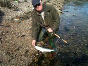 Superb condition mullet hooked on the Myles Kelly Fly