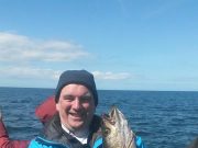 Sligo pollack for happy Frank on Inishmurray trip