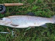 You won't find fish in your sitting room, so get out there !