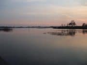Coarse fishing at Lanesborough slow, some tench about but hot water off Tench swims