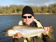 A nice trout of 8 lb. 4 oz on deadbait meant for pike at Melview Lodge.