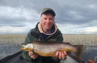 Good trout fishing reported from Loughs Corrib and Mask