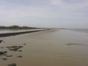 Concern over untreated sewage flowing into Shannon Estuary – Limerick Leader Limerick Leader - Warning over sewage flowing into the Shannon Estuary