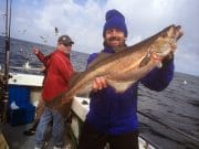 Specimen pollack for lucky angler on board Naomh Carta out of Cork Harbour pollack