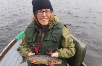 Conn trout
