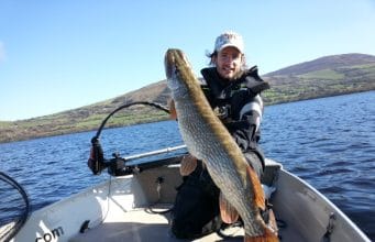 35 lb. 5.5 oz (16 Kilos) pike for french angling guide on Lough Derg is the biggest this year and is our Catch of the Week