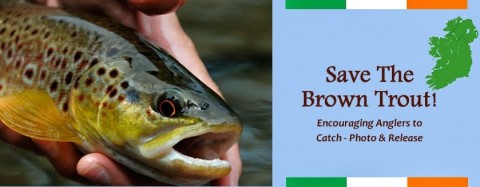 Sheelin - Save the brown trout