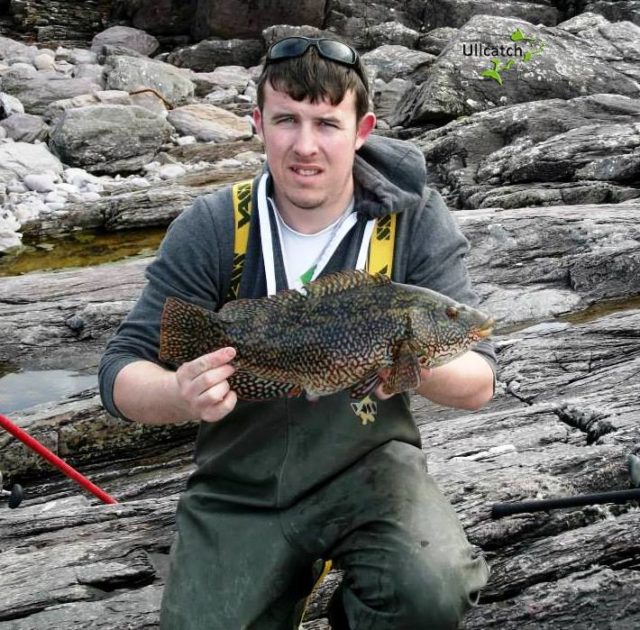 Troy Francis with his cracking 50cm 4lb 12oz Ballan Wrasse