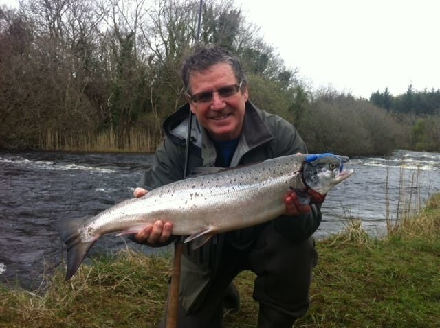 salmon