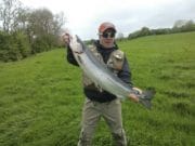 13lber from Ballyduff Bridge Fishery upriver beat
