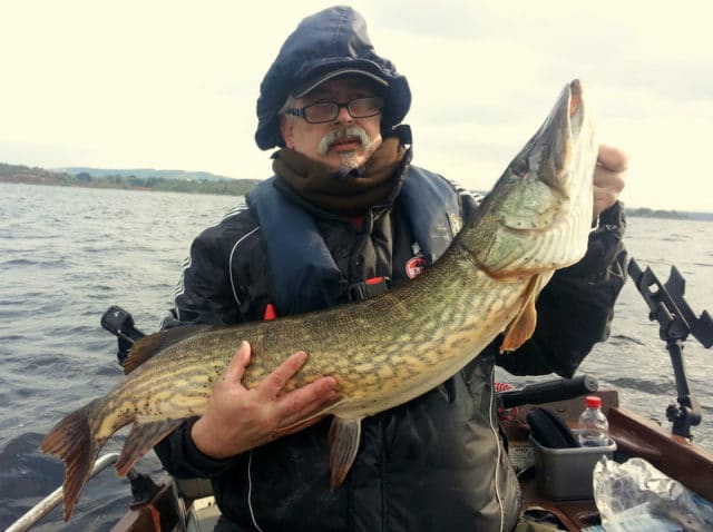 mayo pike