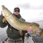 Pike