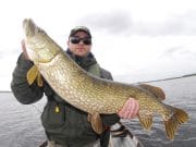 Italian anglers in Mullingar get pike to 22lb on Ennell