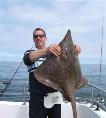 Juvenile skate
