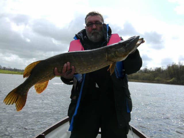 101cm pike