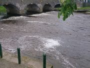 River Slaney Season Report 2021