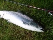Ger strikes super Slaney salmon on the third cast